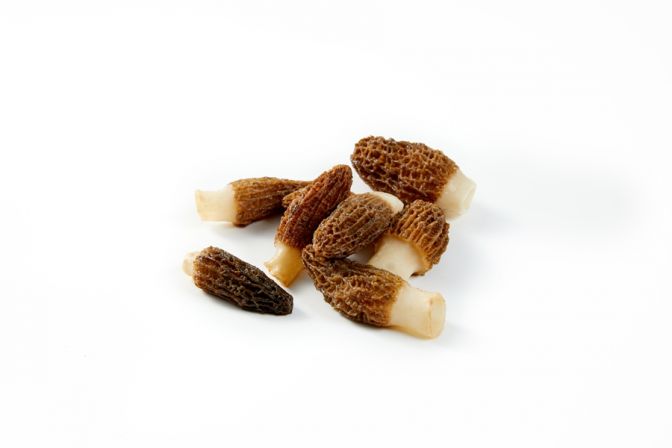 Frozen Morels