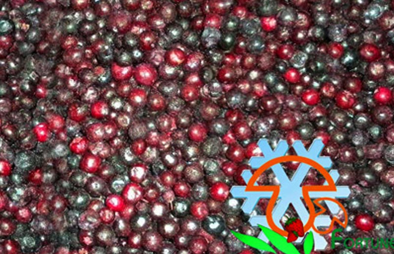 IQF Blueberry