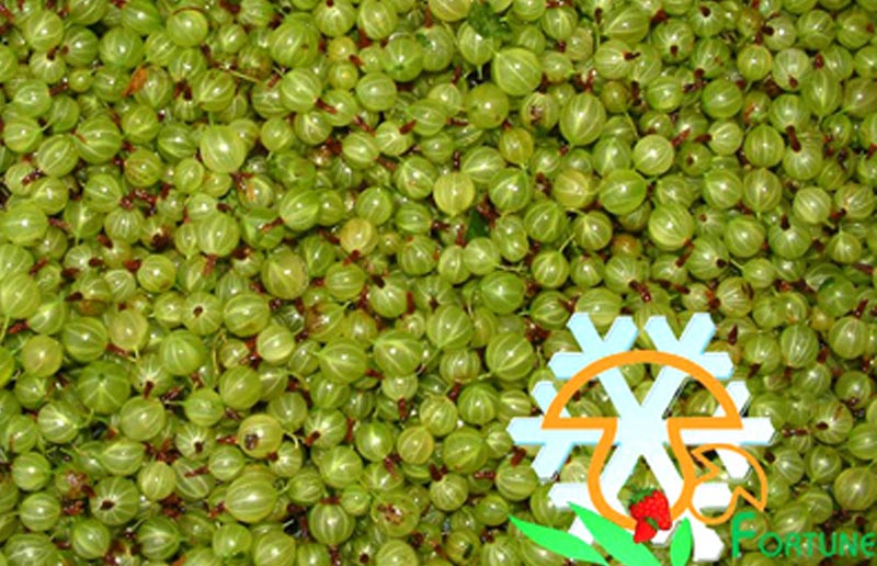 IQF Gooseberry