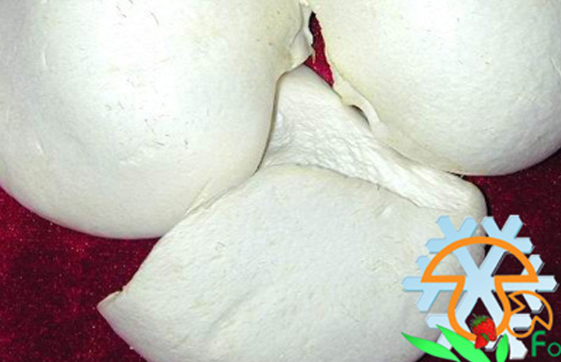 IQF Pleurotus Nebrodensis