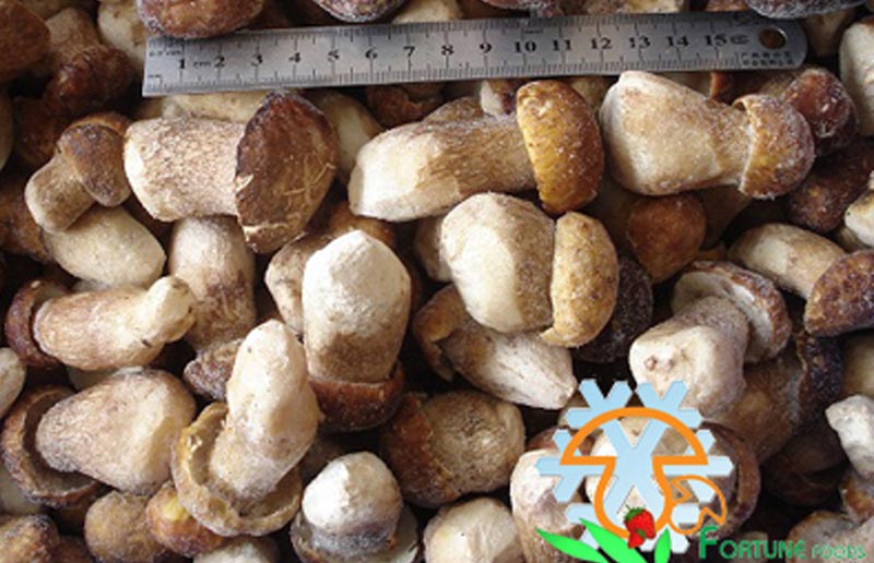 IQF Boletus Edulis