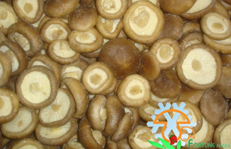 IQF Shiitake