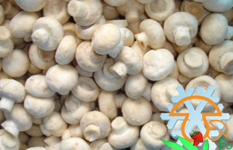 IQF Champignon