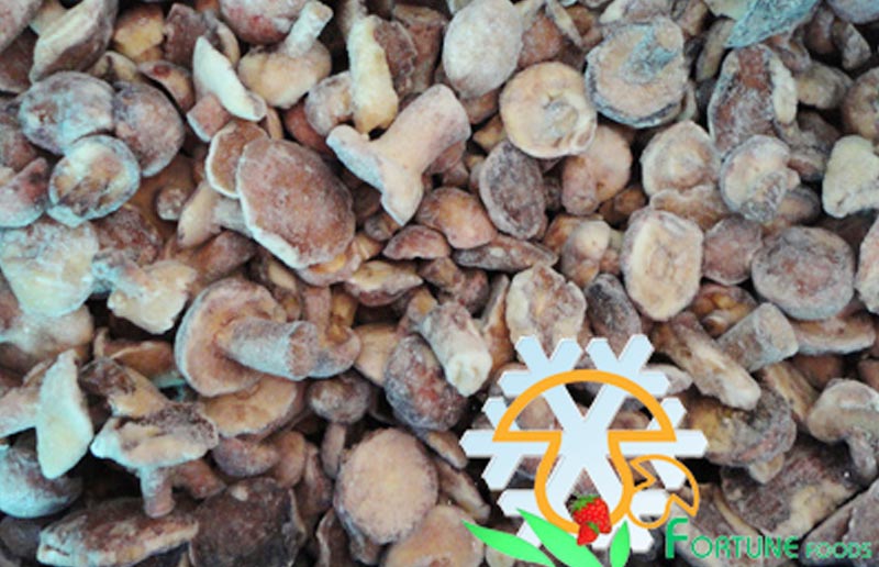 IQF Suillus Granulatus
