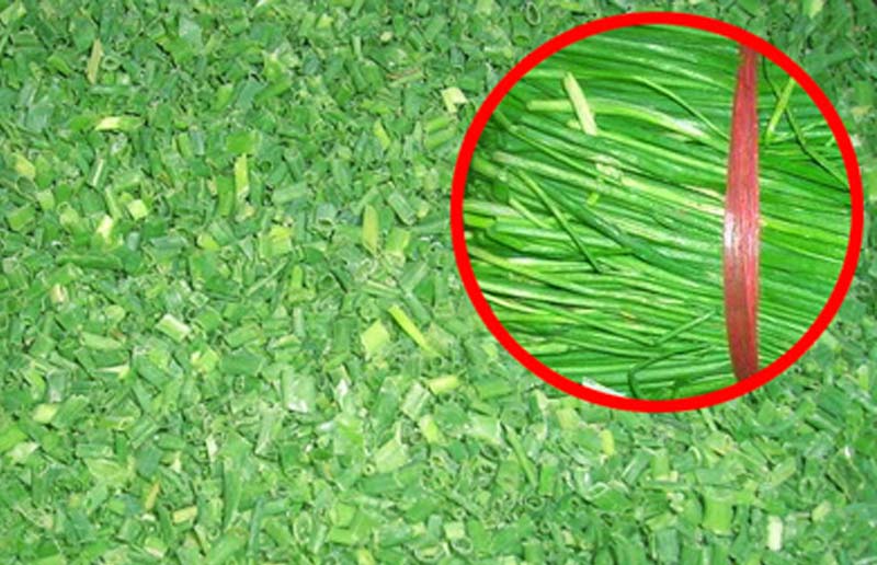IQF Chive