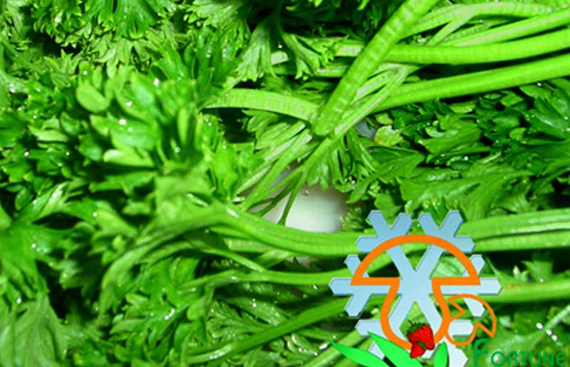IQF Parsley