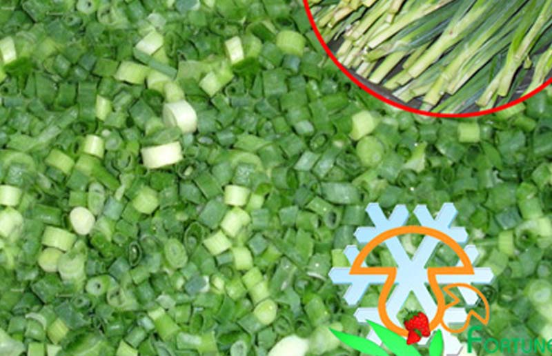 IQF Spring Onion