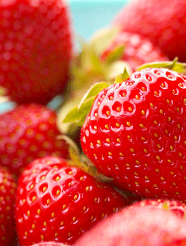 Fruits