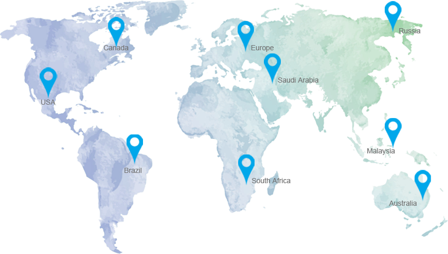 SALES NETWORK