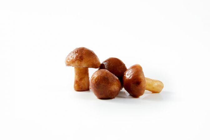 Frozen suillus granulatus