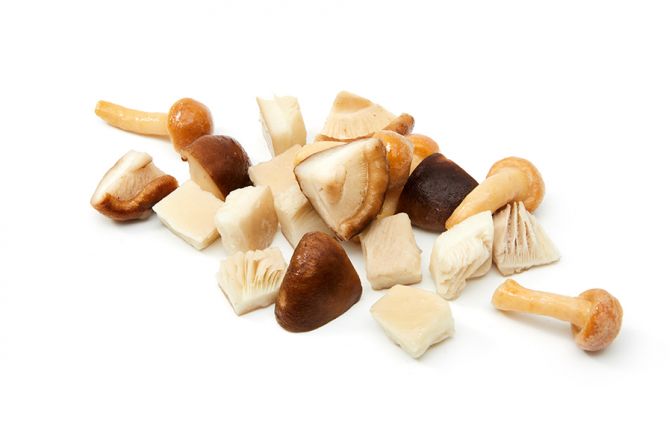 IQF mixed mushrooms