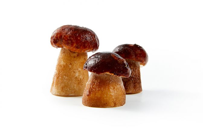 Frozen boletus edulis