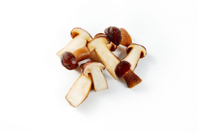 Frozen boletus edulis