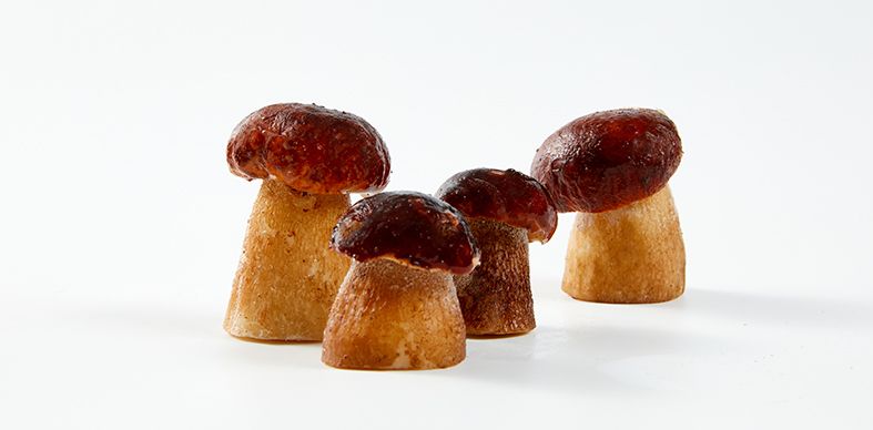 MUSHROOMS