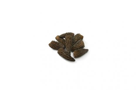 Dried morel