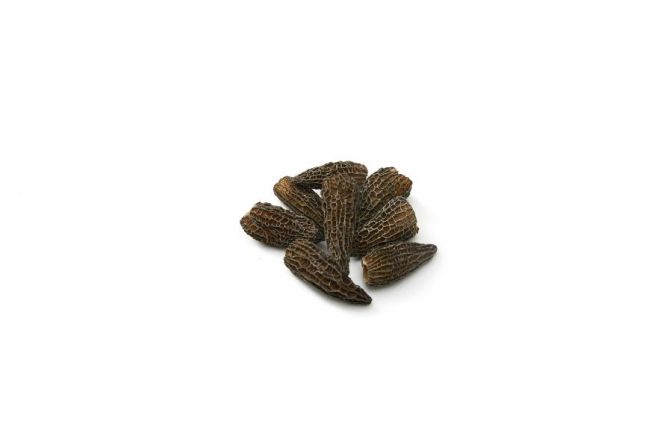 Dried morel