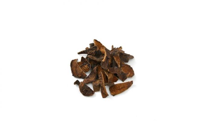 Dried suillus granulatus