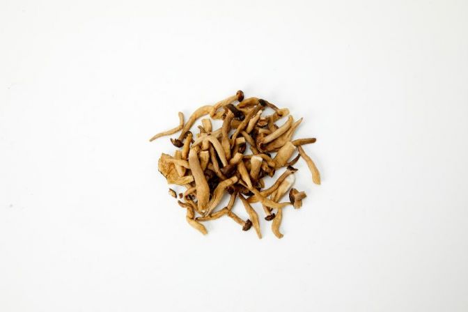 VF mixed mushrooms