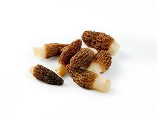 How Long Can Morels Last in the Freezer?